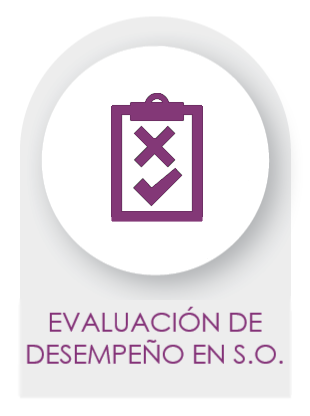 EVALUACIÓN DE DESEMPEÑO